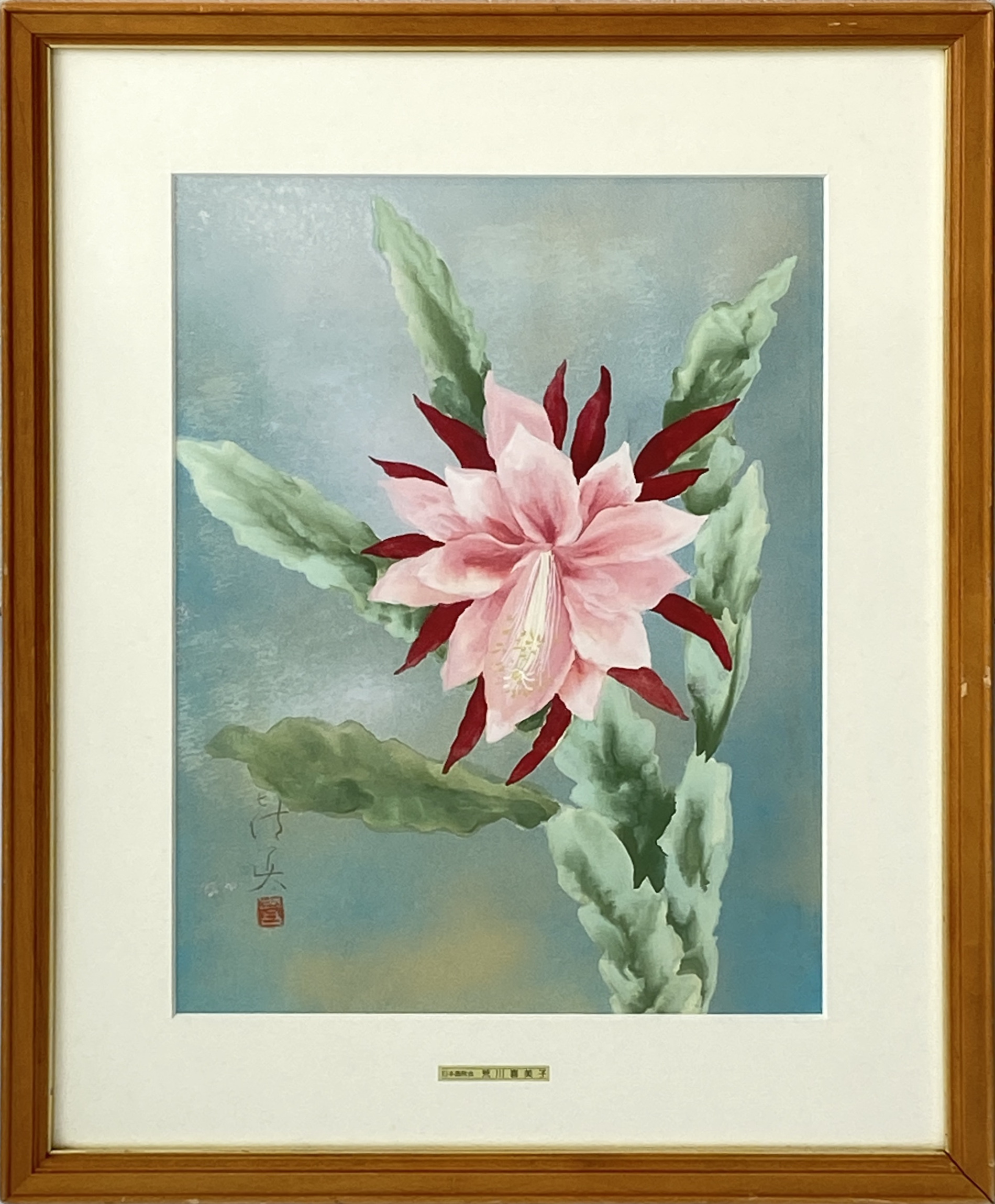 クジャクサボテン