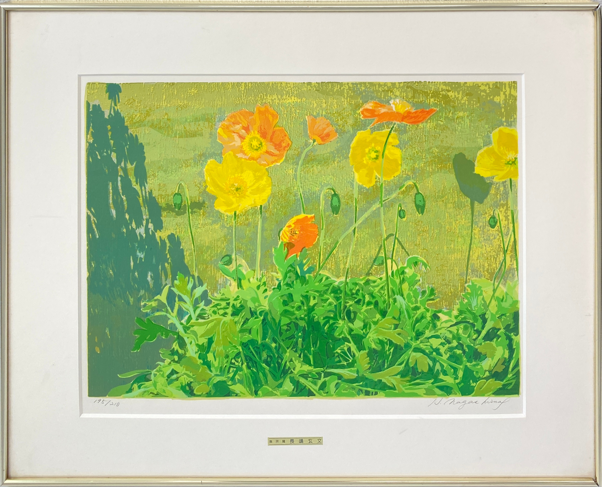 アイスランドポピー